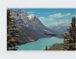 Postcard Peyto Lake Canadian Rockies Canada