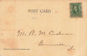 Valdosta Georgia GA~Patterson Street-Storefronts~1905 Albertype Postcard