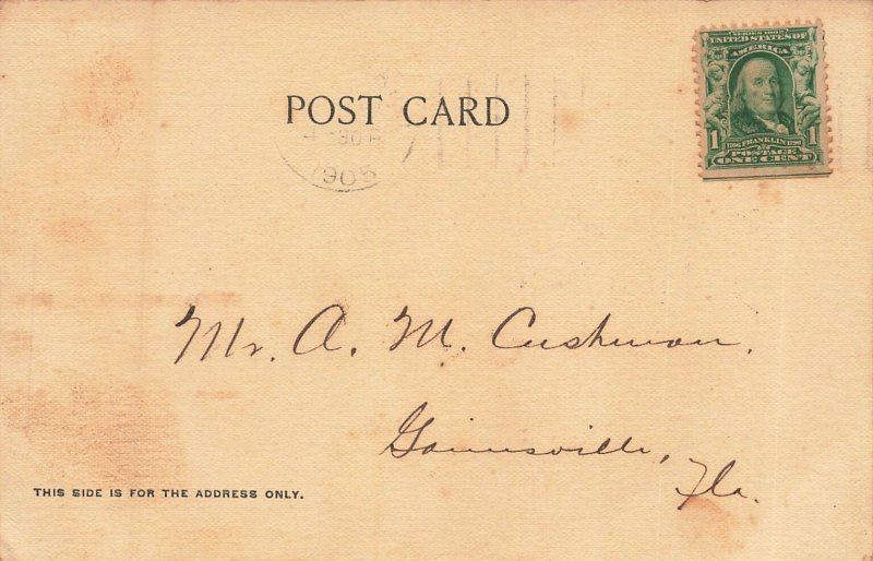 Valdosta Georgia GA~Patterson Street-Storefronts~1905 Albertype Postcard