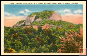 Looking Glass Mountain in Pisgah National Forest, W.N.C.