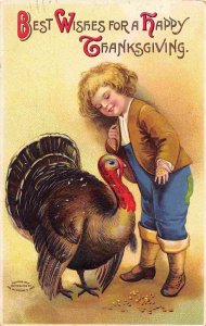 Boy Turkey Happy Thanksgiving Greeting 1910 postcard