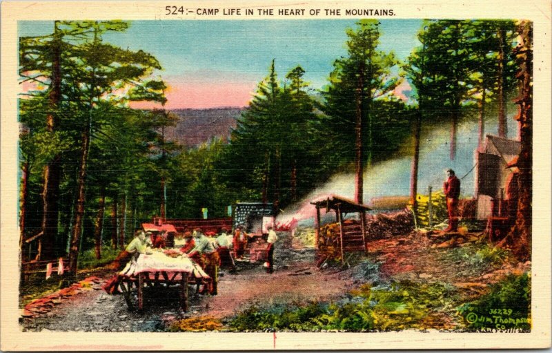 Scenic Mountains Heart Camp Life Postcard Old Vintage Card View Standard Post PC