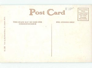 Divided-back RIVER SCENE St. Joseph River - Dowagiac & Benton Harbor MI AE6557