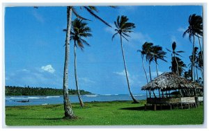 c1960's Early Chamorro Village Inarajan Guam Vintage Unposted Postcard