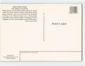 Postcard Buggy, Amish Country, Pennsylvania