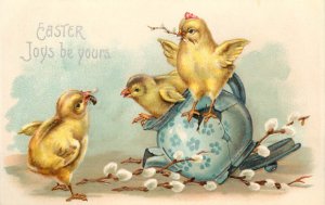 Embossed Easter Postcard Chicks Play on Broken Teapot Pussywillows Ser. 992 IAPC