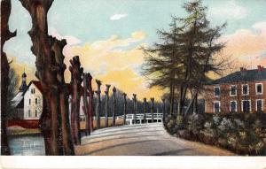 Greetings Tree Lined Road Scenic View Antique Postcard J54554