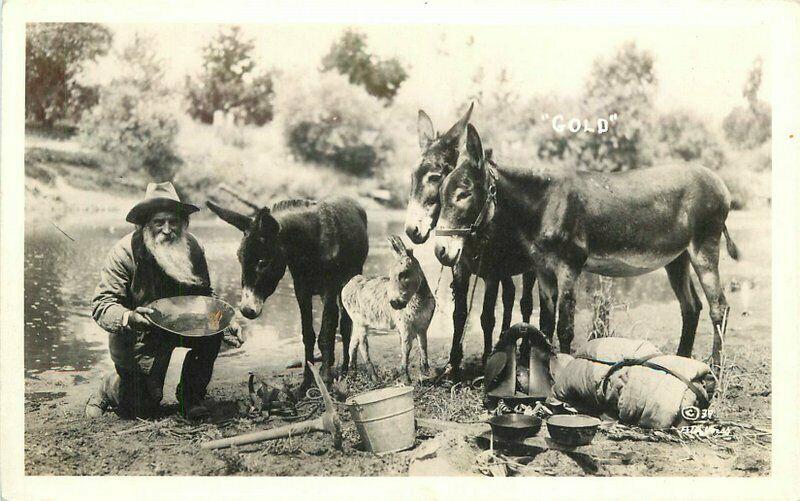 1930s Western Mining Prospector Mules RPPC Photo Postcard 2906