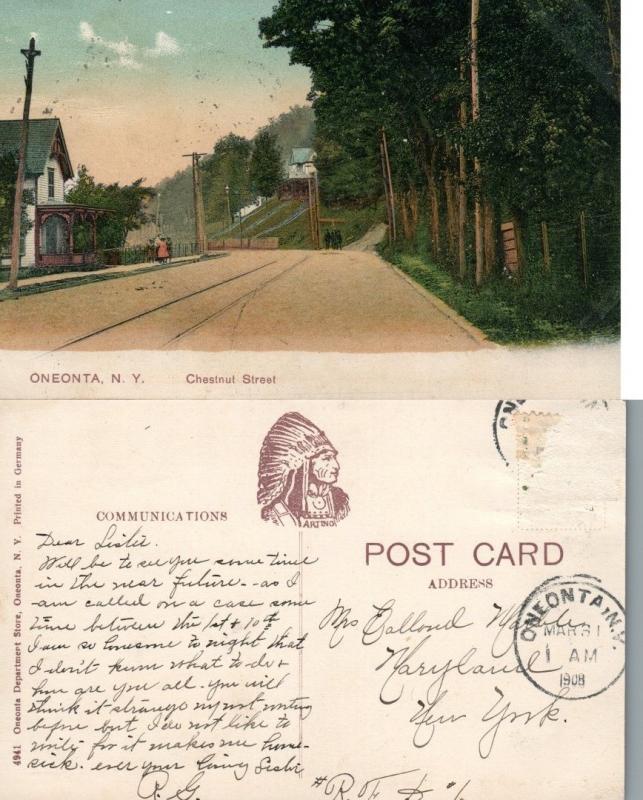 ONEONTA N.Y. CHESTNUT STREET 1908 ANTIQUE POSTCARD 