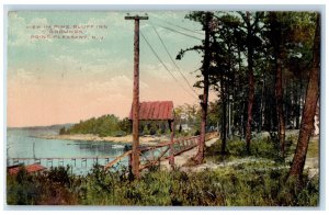 1913 View in Pine Bluff Inn Grounds Point Pleasant New Jersey NJ Postcard