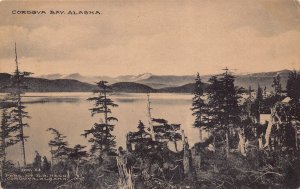 Panorama Cordova Bay Alaska 1910c postcard