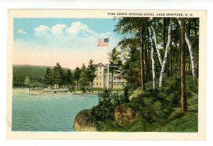 NH - Lake Spofford. Pine Grove Springs Hotel