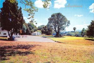 BR99085 acacia cottage and kiosk cornwall park auckland new zealand