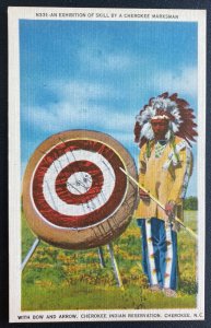 Mint USA Picture Postcard Native American  Cherokee Indian Marksman Exhibition