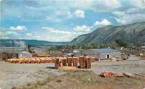 Oregon Small Sawmill Logging Lumber 1950s Smith's Colorpicture Postcard 22-9665