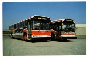 TTC Buses, Toronto, Ontario