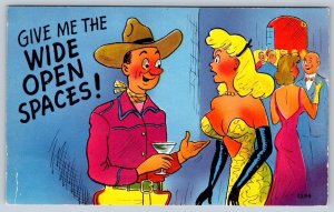 Risque Cowboy Comic, Give Me The Wide Open Spaces! Vintage Chrome Postcard