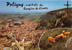 BR1365 France Franche Comte Poligny multi vues vaches cows