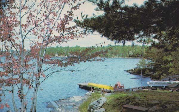 Orillia Fish & Chips James St Street Forest Canadian Kodak Photo Canada Postcard