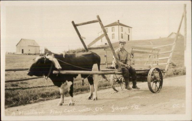 Gaspe Quebec Habitant Hay Cart Real Photo Postcard dcn