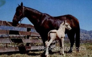 Artist Alfred Mainzer Horse Unused stain left top corner, rest of card is per...