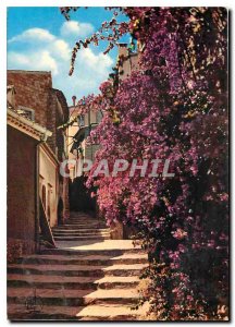 Modern Postcard The French Riviera Bormes les Mimosas Street Rompi couou