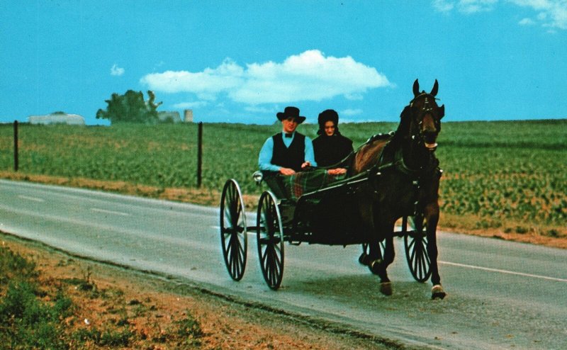 Vintage Postcard 1985 Greetings From Amish Country Pennsylvania Horse Carriage