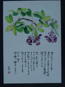 TINY FLOWER Paintings Poems by Japanese Disabled Artist Tomihiro Hoshino PC