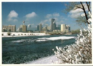 Canada Calgary Skyline In Winter