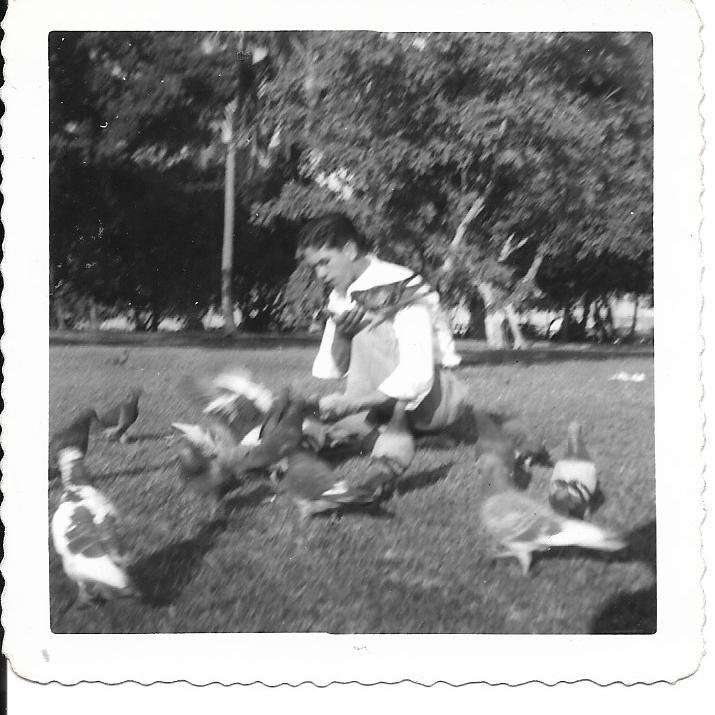 Old Photo Rudy Feediing Pigeons in Miami Fl Dec 1949 PHO4-62821