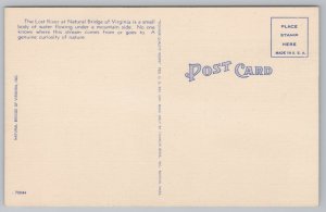 Natural Bridge Virginia~Lost River~Linen Postcard 