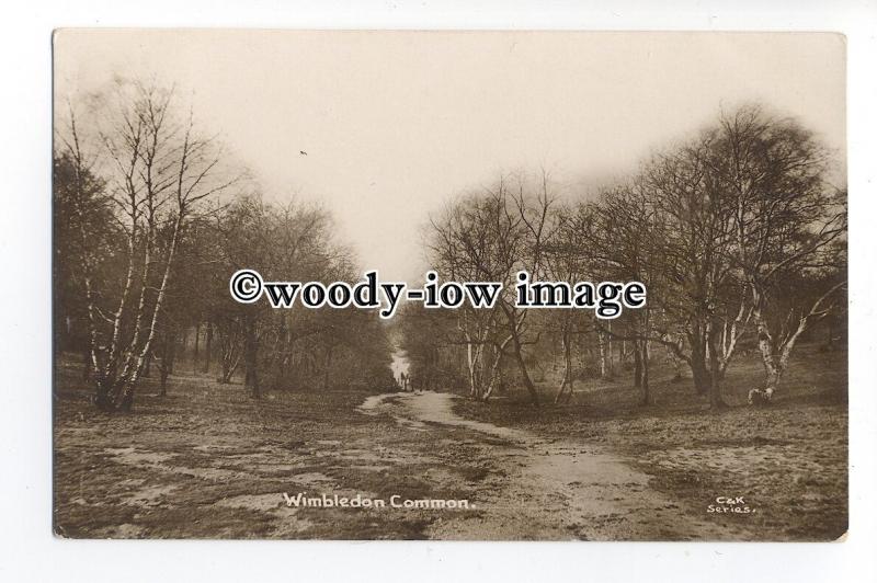 tq0892 - London - An Early View across a Path on Wimbledon Common - Postcard