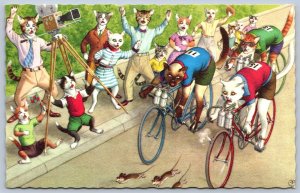 K48/ Mainzer Dressed Cat Cats Hartung c50s Postcard Comic L.I. Bicycle Race 233