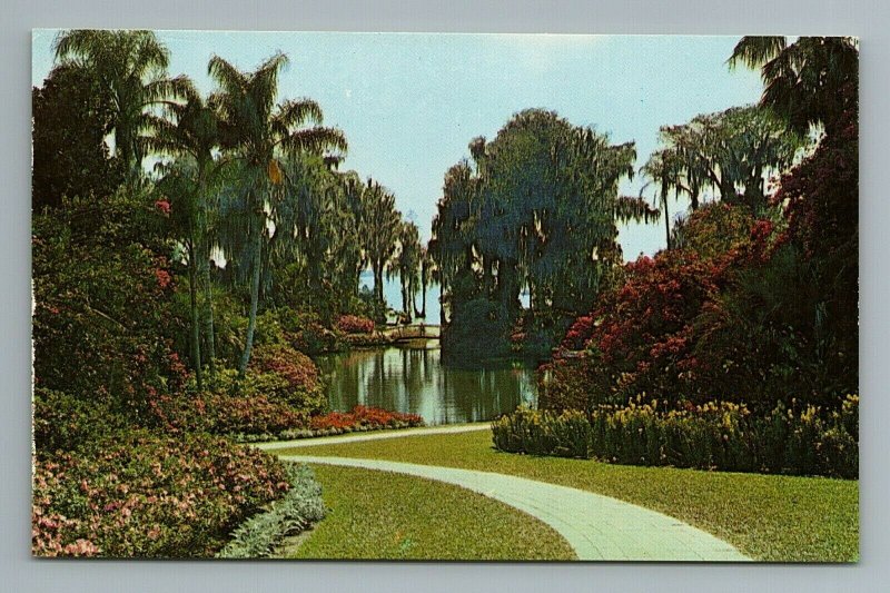 Cypress Gardens Florida FL Postcard  