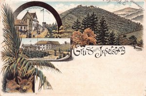 Germany 1898 Gruss vom Inselberg Wolf Plants Gothaisches Hotel postcard B964