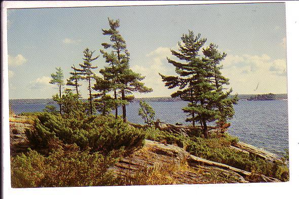 Georgian Bay Pines Among 30000 Islands, Parry Sound, Ontario, 