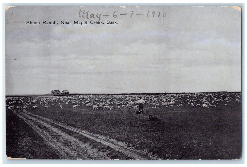 1910 Sheep Ranch Near Maple Creek Saskatchewan Canada Antique Postcard