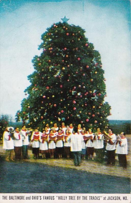 Maryland Jackson Baltimore and Ohio's Holly Tree By The Tracks