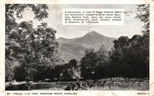 Vintage Postcard 1939 Mount Pigsah Forest Hendersonville Western North Carolina