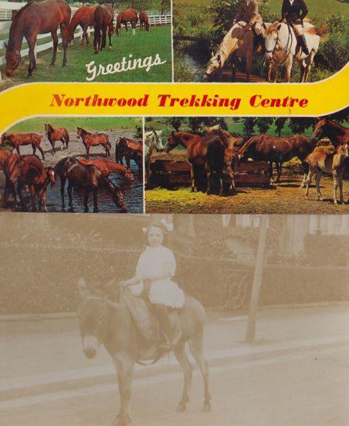 Northwood Trekking Centre Peak District Horse Riding Centre 1970s 2x Postcard