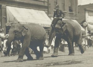 Springfield MINNESOTA RPPC 1910 CIRCUS PARADE Main Street ELEPHANTS Elephant