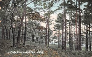 Pretty Scene in High Park Toronto 1907 