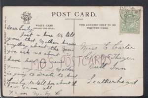 Genealogy Postcard - Carter / Hayers? - Bull Inn, Leatherhead, Surrey RF5412