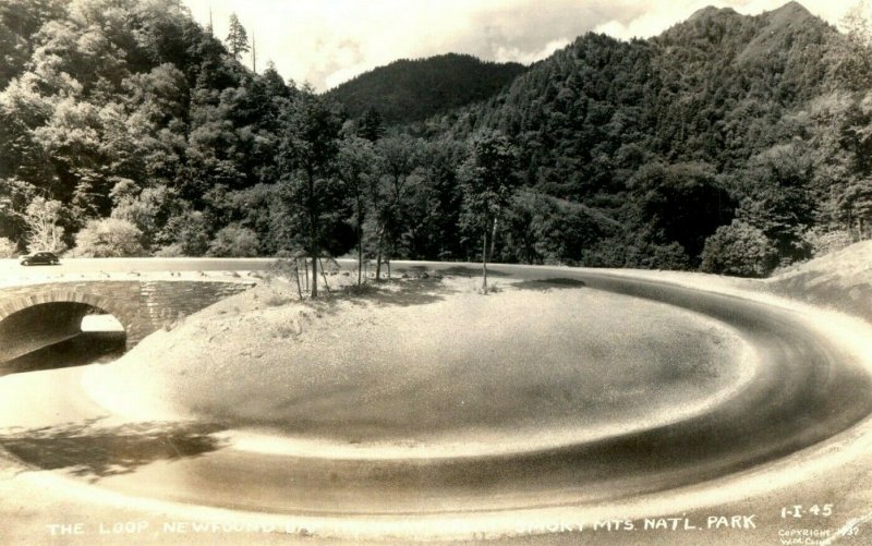 RPPC Real Photo Postcard The Loop New Found Gap Smoky Mts Natl. Park TN P7 