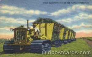 Transportation The Florida Everglades, USA Black Unused 