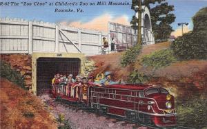 A48/ Roanoke Virginia Va Postcard linen Miniature Railroad Children's Zoo Choo
