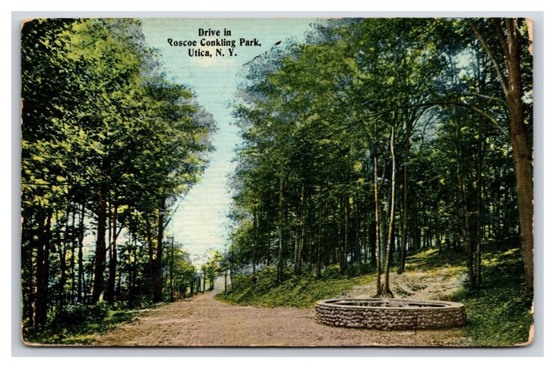 Drive in Roscoe Conkling Park Utica New York NY 1910 DB Postcard P26
