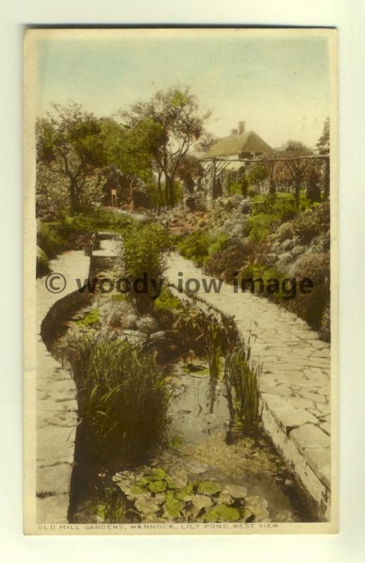 tp6685 - Sussex - The Lily Pond in Old Mill Gardens, in Wannock c1924 - Postcard