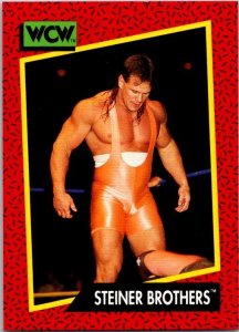 1991 WCW Wrestling Card Steiner Brothers sk21148