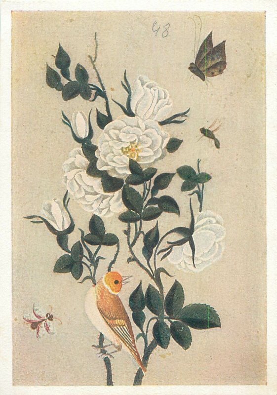 Iran miniature a bush of white roses bird bee  Postcard